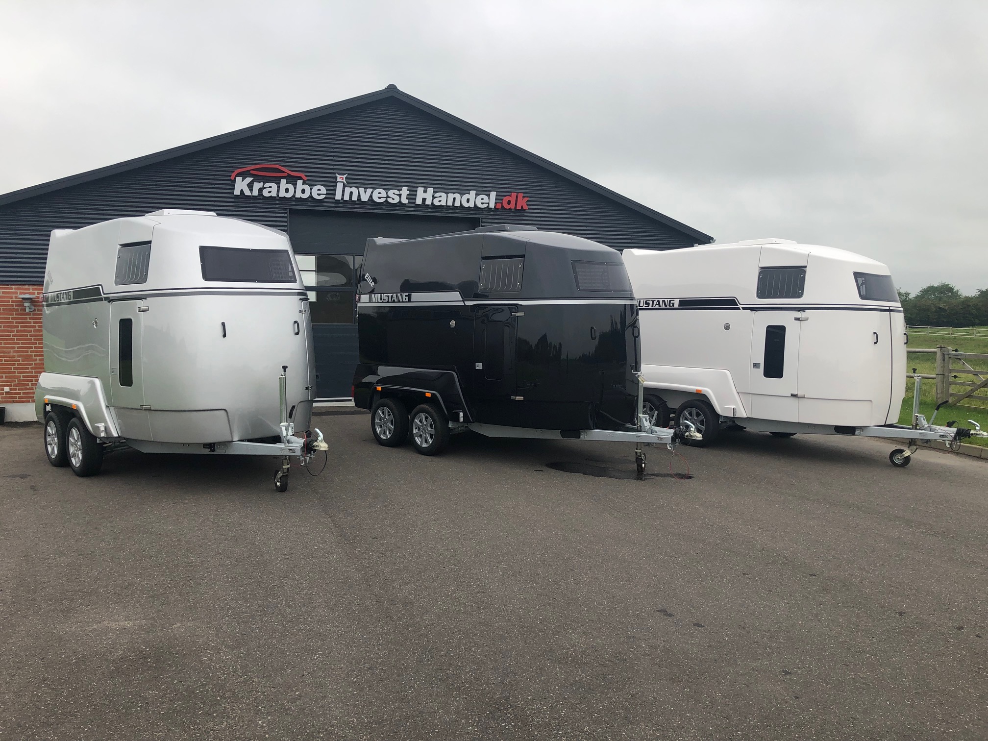 Mustang Elite CSS hestetrailer