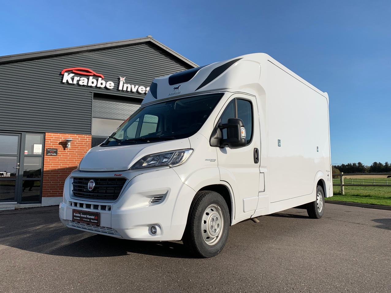 Fiat Ducato Ameline hestebil