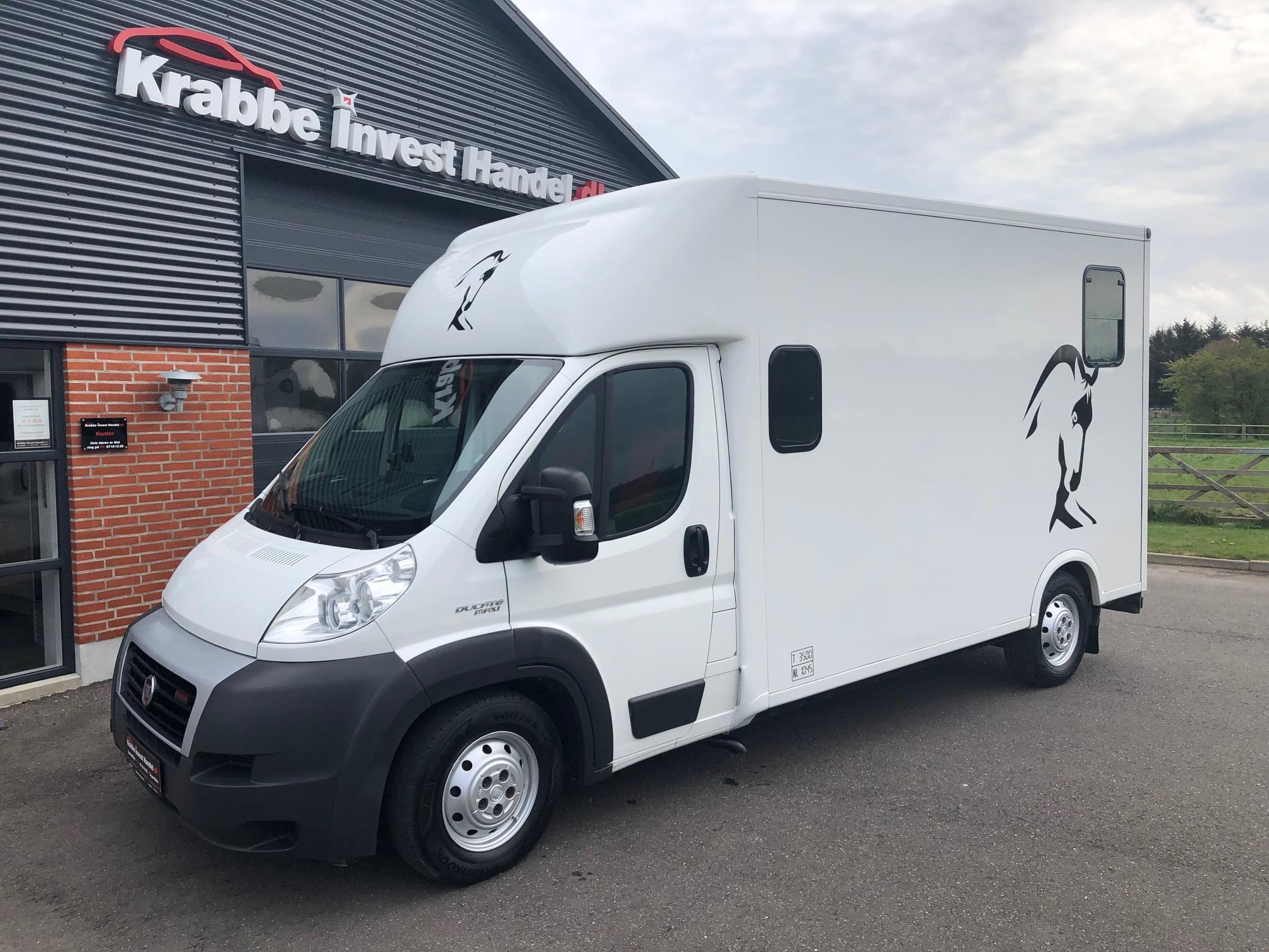 Fiat Ducato Maxi Theault hestebil